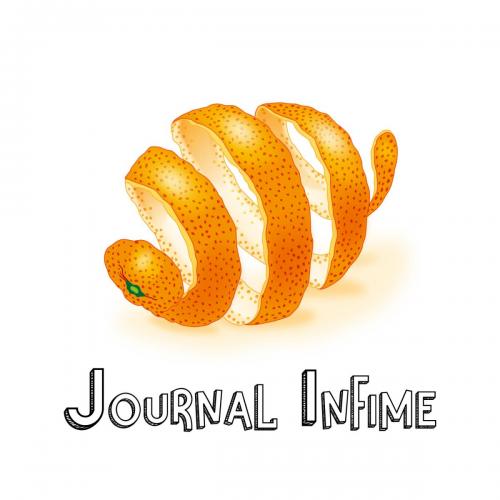 Logo Journal infime 